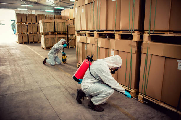 Best Pest Control Near Me in Bay Pines, FL