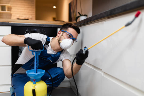 Best Residential Pest Control  in Bay Pines, FL