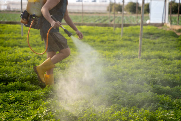 Reliable Bay Pines, FL Pest Control Solutions