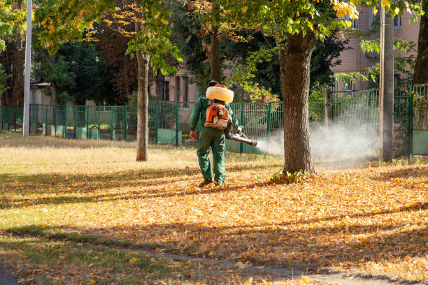 Best Pest Prevention Services  in Bay Pines, FL